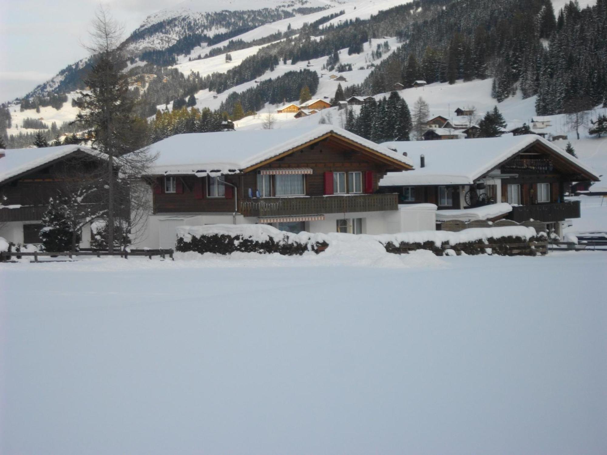 Chalet Aloa Apartamento Adelboden Exterior foto